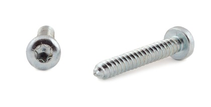 Plåtskruv RTS fzb 6,3x50mm T30 kullrig 100p ANS