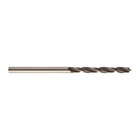 TRÄBORR AEG 3X60MM TRÄBORR 3MM