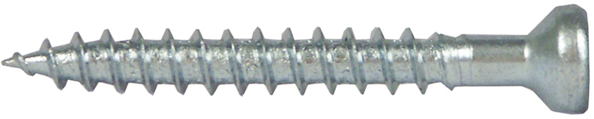 Träskruv T30 6x65mm 100p Adjufix