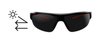 ARGOS Safety glasses Polarized