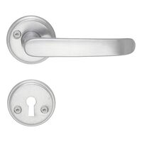 Dörrtrycke mattkrom